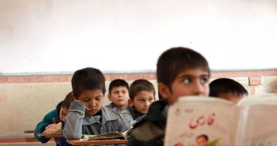 مهاجرستیزی/افغان ستیزی