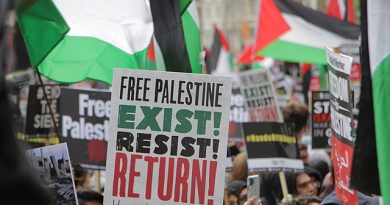 چرا فلسطين يك مساله فمينيستي است