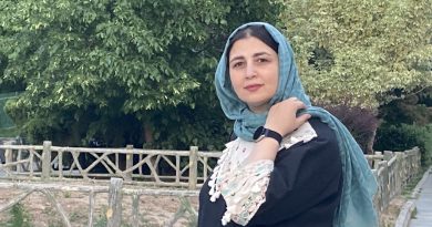این پژوهش‌ها بیانگر این نکته هستند که در چه در سطوح ساختاری و چه در سطوح فردی (چه در مورد زنان و چه در مورد مردان)، نقش اصلی برای زنان، نقش مادری و همسری است. از این رو، با اصل قرار دادن این نکته، مسایل دیگری چون اشتغال آن‌ها، نقش درجه دومی به خود می‌گیرد. باورهای سنتی نظیر این که اشتغال زن نظام خانواده را در معرض خطر قرار می‌دهد موجب می‌شود که زنان در عرصه اشتغال کمتر حضور یابند و یا به علت تکثر و تضاد نقش‌ها و فشار بار مسولیت نقش‌های چندگانه و تعارض حاصل از آن، که انرژی، صرف وقت و قابلیت روانی بالاتر از سوی زنان را می‌طلبد، سلامتی آن‌ها به خطر افتد.