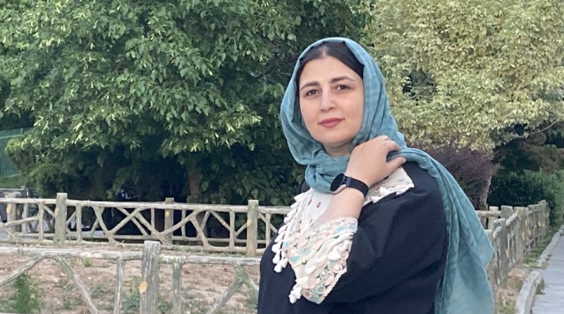 این پژوهش‌ها بیانگر این نکته هستند که در چه در سطوح ساختاری و چه در سطوح فردی (چه در مورد زنان و چه در مورد مردان)، نقش اصلی برای زنان، نقش مادری و همسری است. از این رو، با اصل قرار دادن این نکته، مسایل دیگری چون اشتغال آن‌ها، نقش درجه دومی به خود می‌گیرد. باورهای سنتی نظیر این که اشتغال زن نظام خانواده را در معرض خطر قرار می‌دهد موجب می‌شود که زنان در عرصه اشتغال کمتر حضور یابند و یا به علت تکثر و تضاد نقش‌ها و فشار بار مسولیت نقش‌های چندگانه و تعارض حاصل از آن، که انرژی، صرف وقت و قابلیت روانی بالاتر از سوی زنان را می‌طلبد، سلامتی آن‌ها به خطر افتد.