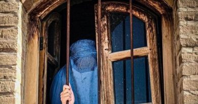 همه‌چیز از آن صبح نحس شروع شد، همه یک‌چیز را بادل‌هایی لرزان زمزمه می‌کردند. "افغانستان یک‌شبه سقوط کرد"، "فروخته شد" و تاریخِ سیاه برای مردم کشورم تکرارِ دوباره‌ای در نظر گرفته بود.