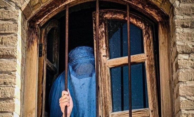همه‌چیز از آن صبح نحس شروع شد، همه یک‌چیز را بادل‌هایی لرزان زمزمه می‌کردند. "افغانستان یک‌شبه سقوط کرد"، "فروخته شد" و تاریخِ سیاه برای مردم کشورم تکرارِ دوباره‌ای در نظر گرفته بود.