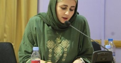 گفته می‌شود که رسانه‌ها در اختیار مردان سفیدپوست طبقۀ متوسط دگرجنس‌خواه است و بازنمایی‌های رسانه‌ای از جانب این گروه مطرح می‌شود. درباره کلیشه‌های جنسیتی، به کلیشه‌هایی که در خصوص مردان و زنان وجود دارد و آن‌ها را در تضاد و تقابل با یکدیگر نشان می‌دهد و به عبارتی زنان و مردان را از هم تفکیک می‌کند