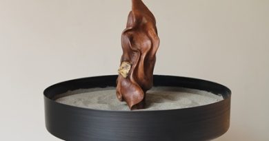 روز عصای سفید