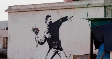 «عشق در هوا» یک نقاشی بی‌نظیر بنکسی است که گل‌های رنگارنگ آن به صورت دستی با رنگ روغن نقاشی شده‌اند، ویژگی نادری در آثار او. این گل‌ها یادآور سنت نقاشی طبیعت بی‌جان گل‌ها هستند اما برخلاف نقاشی‌های کلاسیک تاریخی، این گل‌ها گویی از پمپ بنزین محلی برداشته شده‌اند تا به دشمن پرتاب شوند.