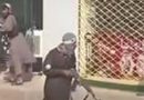 زنی که در قابی بی صدا در هرات تیر خورد زنی که در قابی بی صدا در هرات تیر خورد